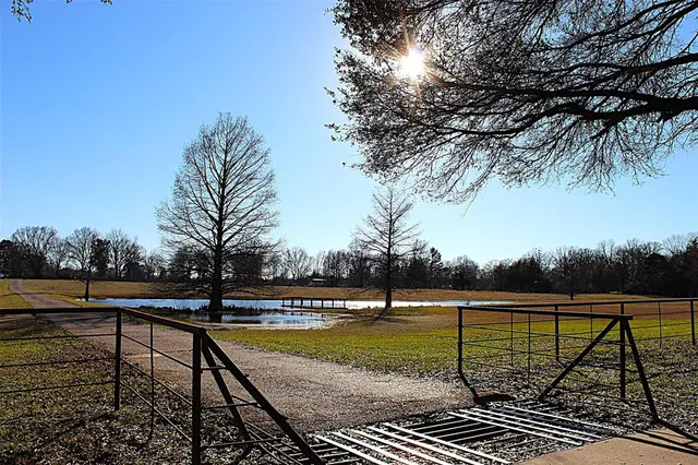 a view of a swimming pool with a deck
