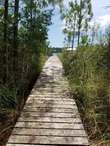 8150 Bay View Drive Foley, AL 36535 - Photo 27 of 34 walkway to pier