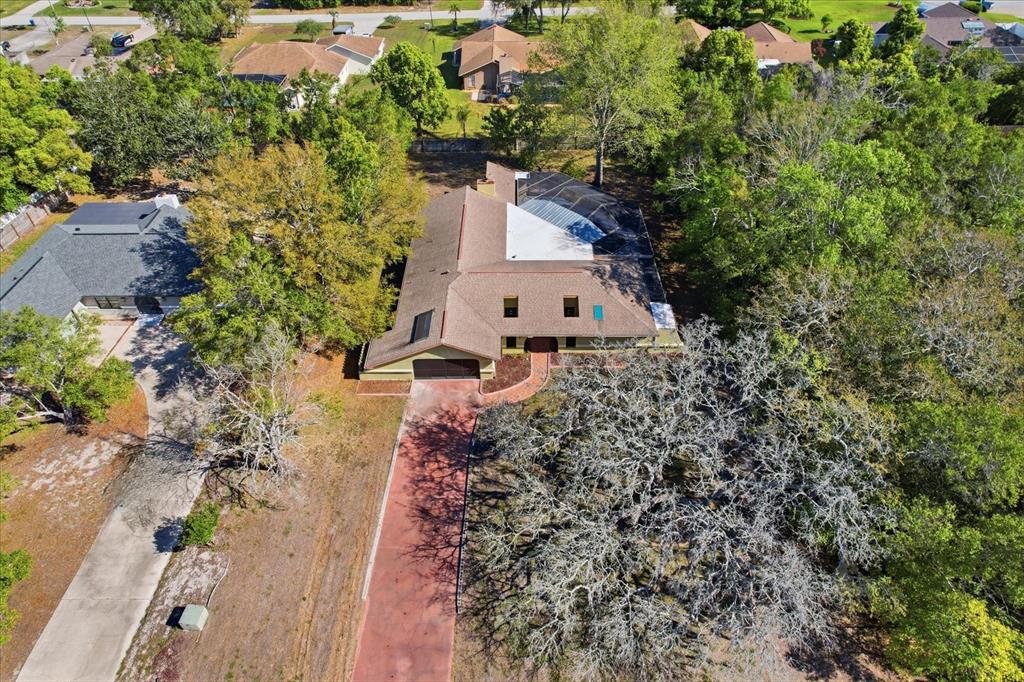 8464 Delaware Drive Spring Hill, FL 34607 - Photo 43 of 46
