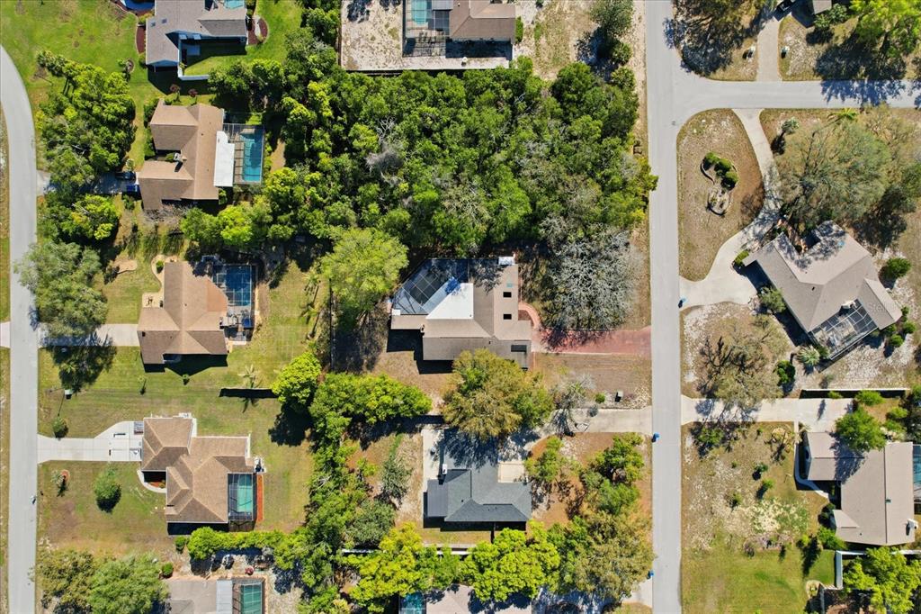8464 Delaware Drive Spring Hill, FL 34607 - Photo 44 of 46