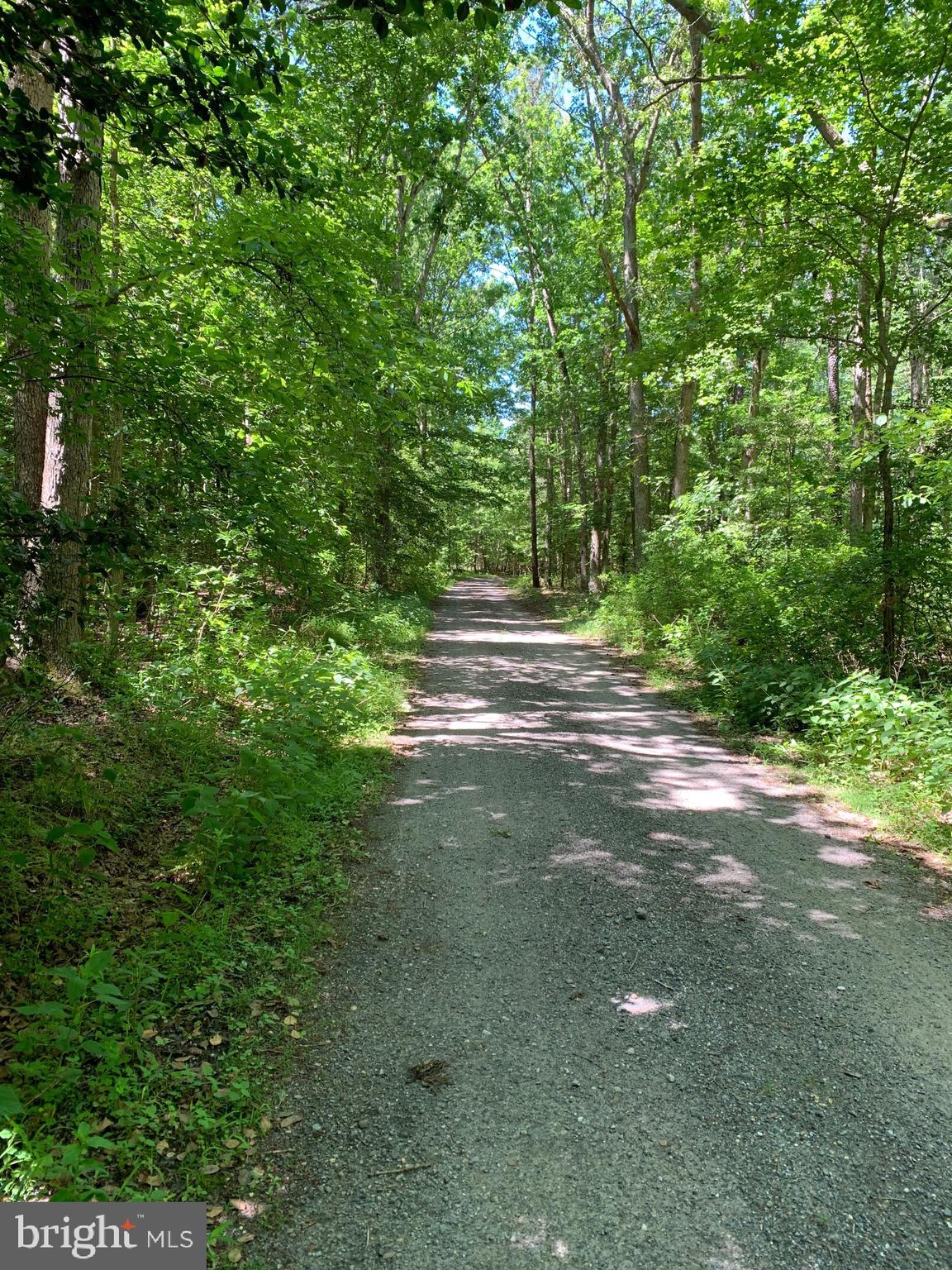 12590 Hidden Woods Road Greensboro, MD 21639 - Photo 12 of 12 Lane