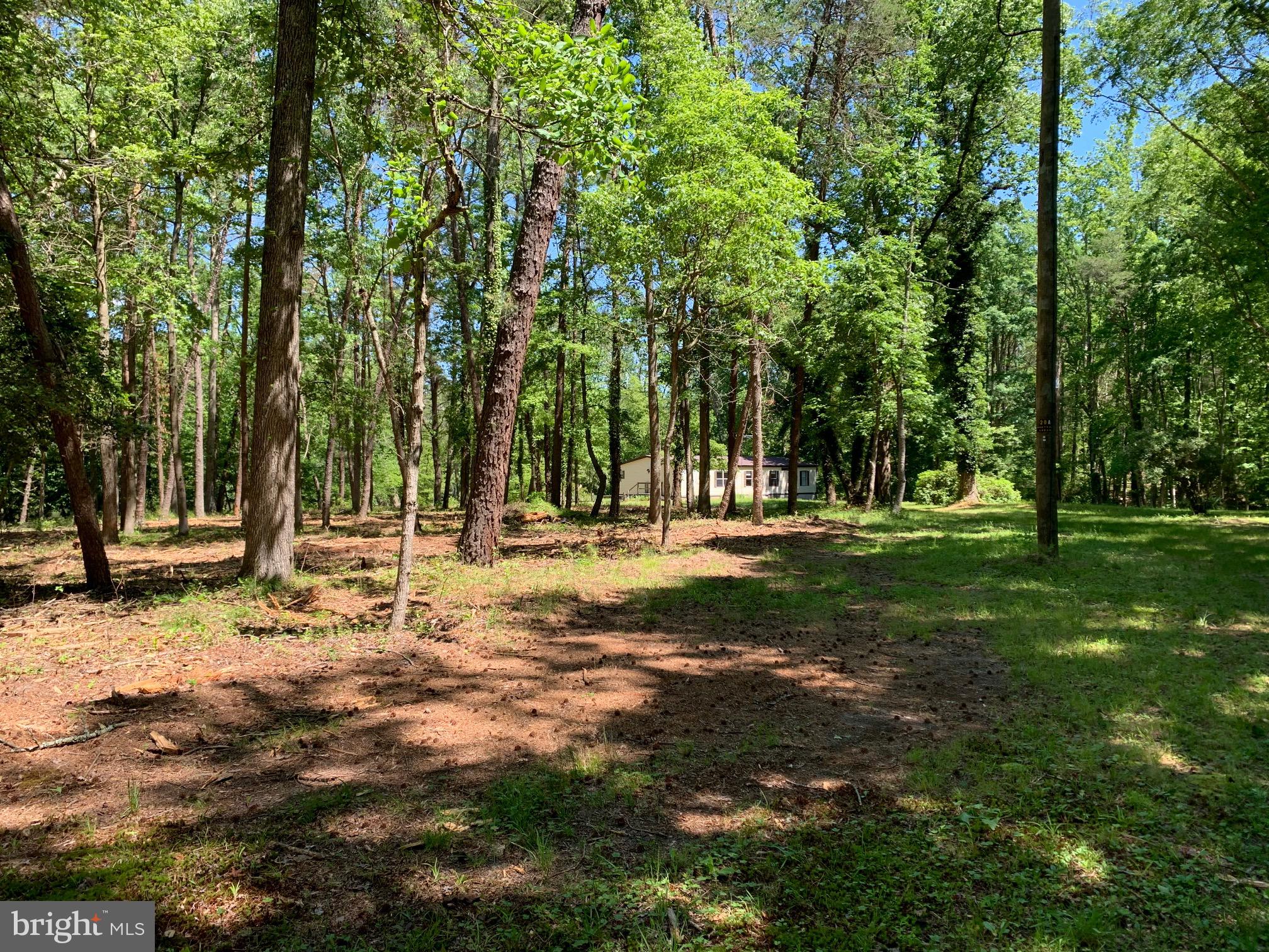 12590 Hidden Woods Road Greensboro, MD 21639 - Photo 9 of 12 View from adjoining property