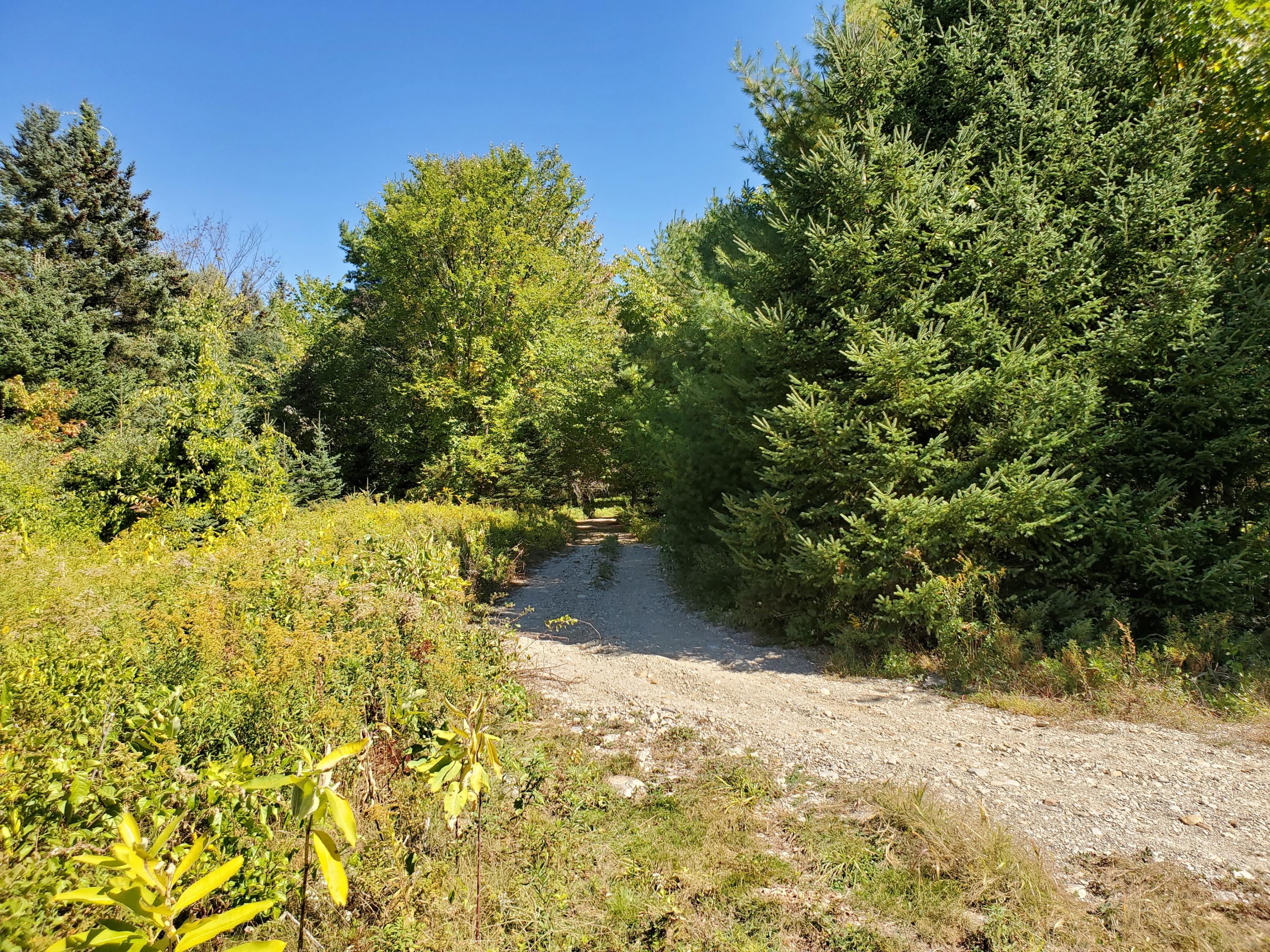 285 Ramsdell Road Farmington, ME 04938 - Photo 9 of 11 20200918_125003