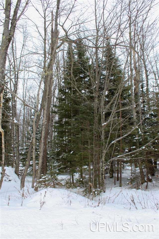Tbd Des Rochers Road, Unit LOT 19 Pelkie, MI 49958 - Photo 4 of 33