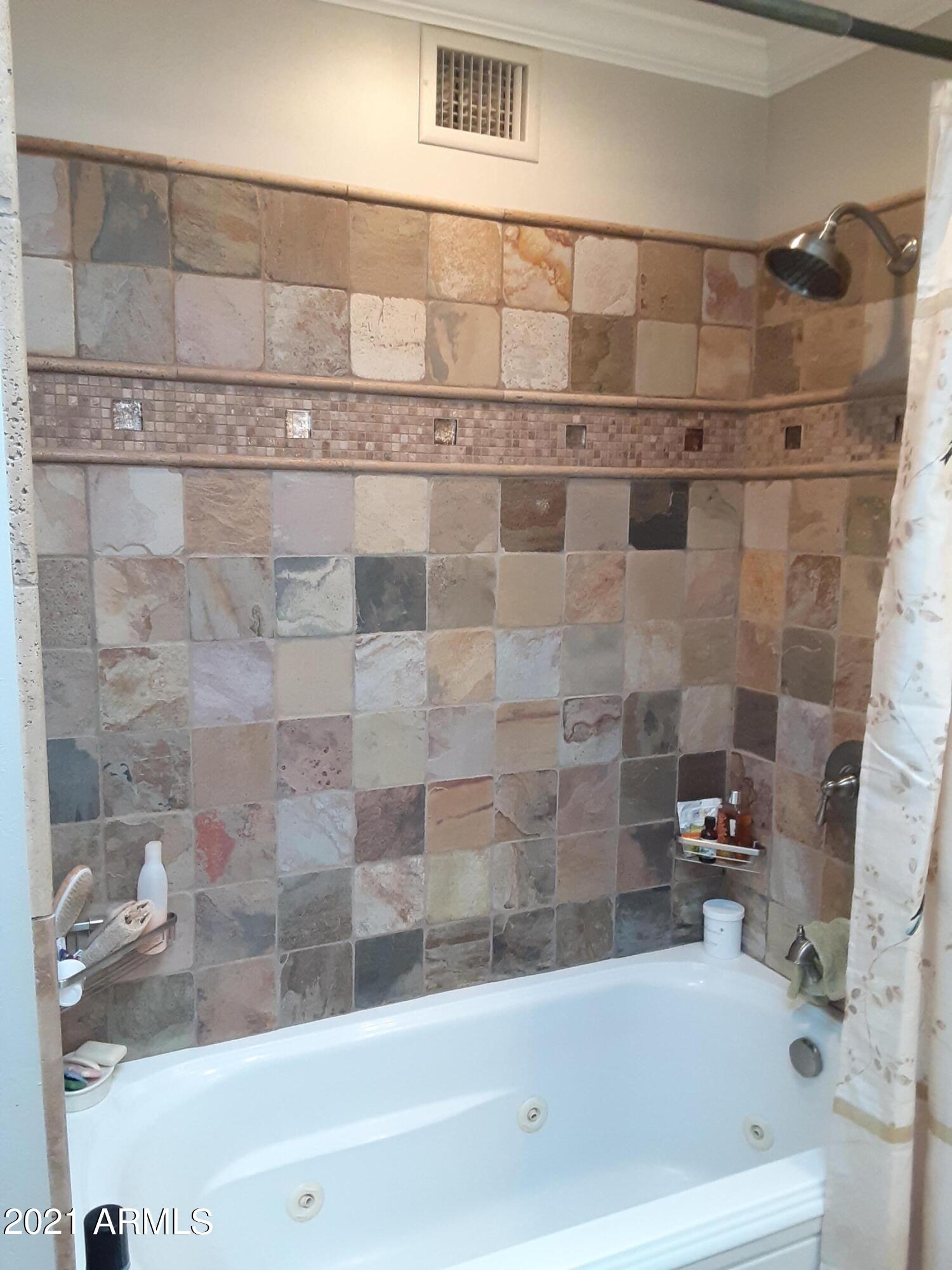 112 West Boca Raton Road Phoenix, AZ 85023 - Photo 27 of 48 Hall Bath ShowerTub