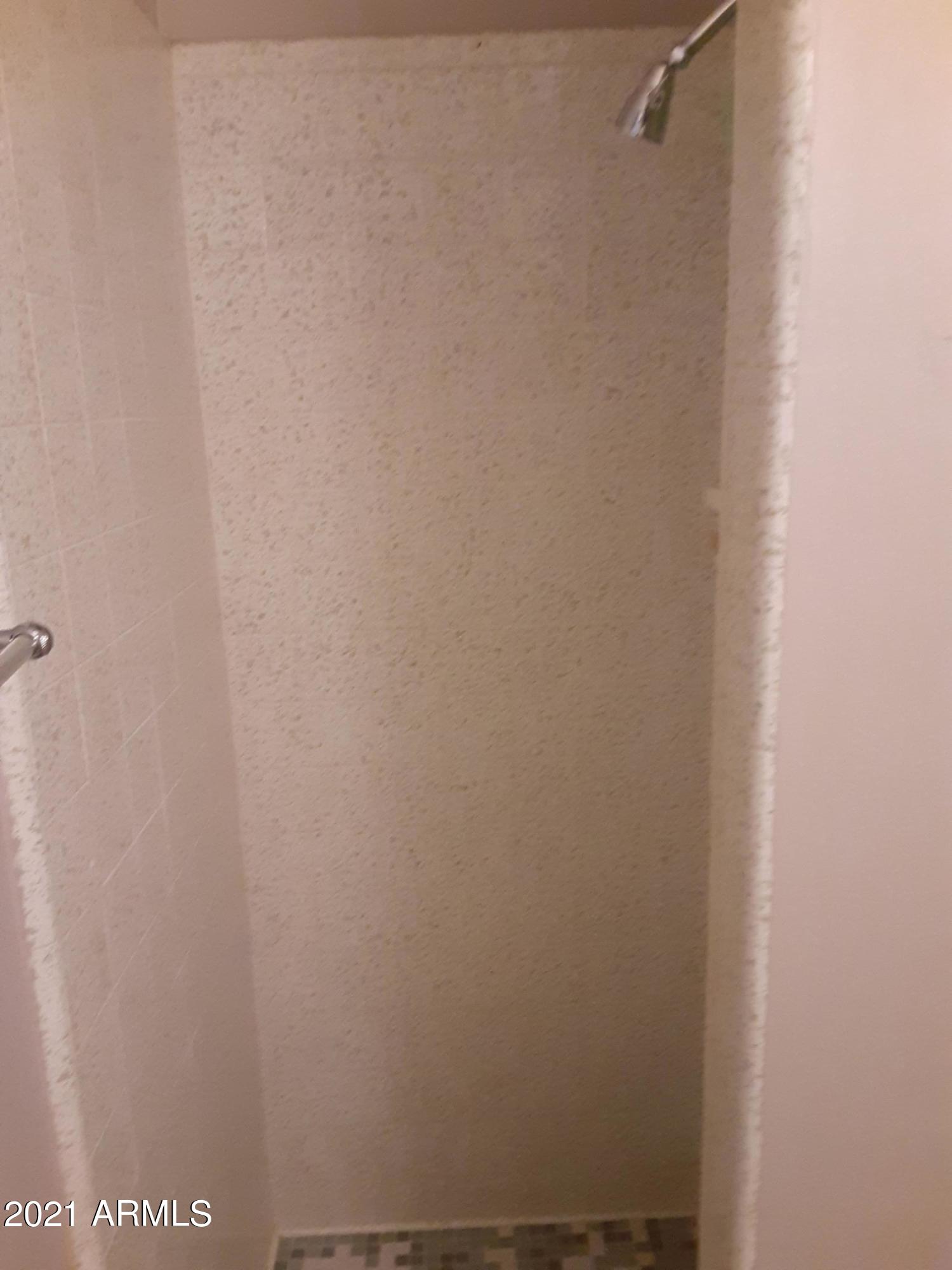 112 West Boca Raton Road Phoenix, AZ 85023 - Photo 30 of 48 Pool Shower