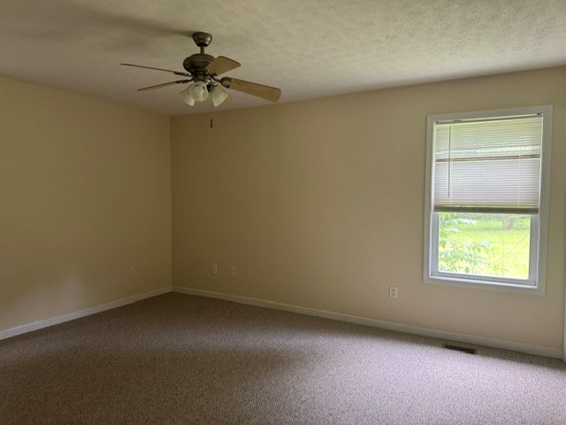 337 Burgess Road Ellijay, GA 30540 - Photo 11 of 15