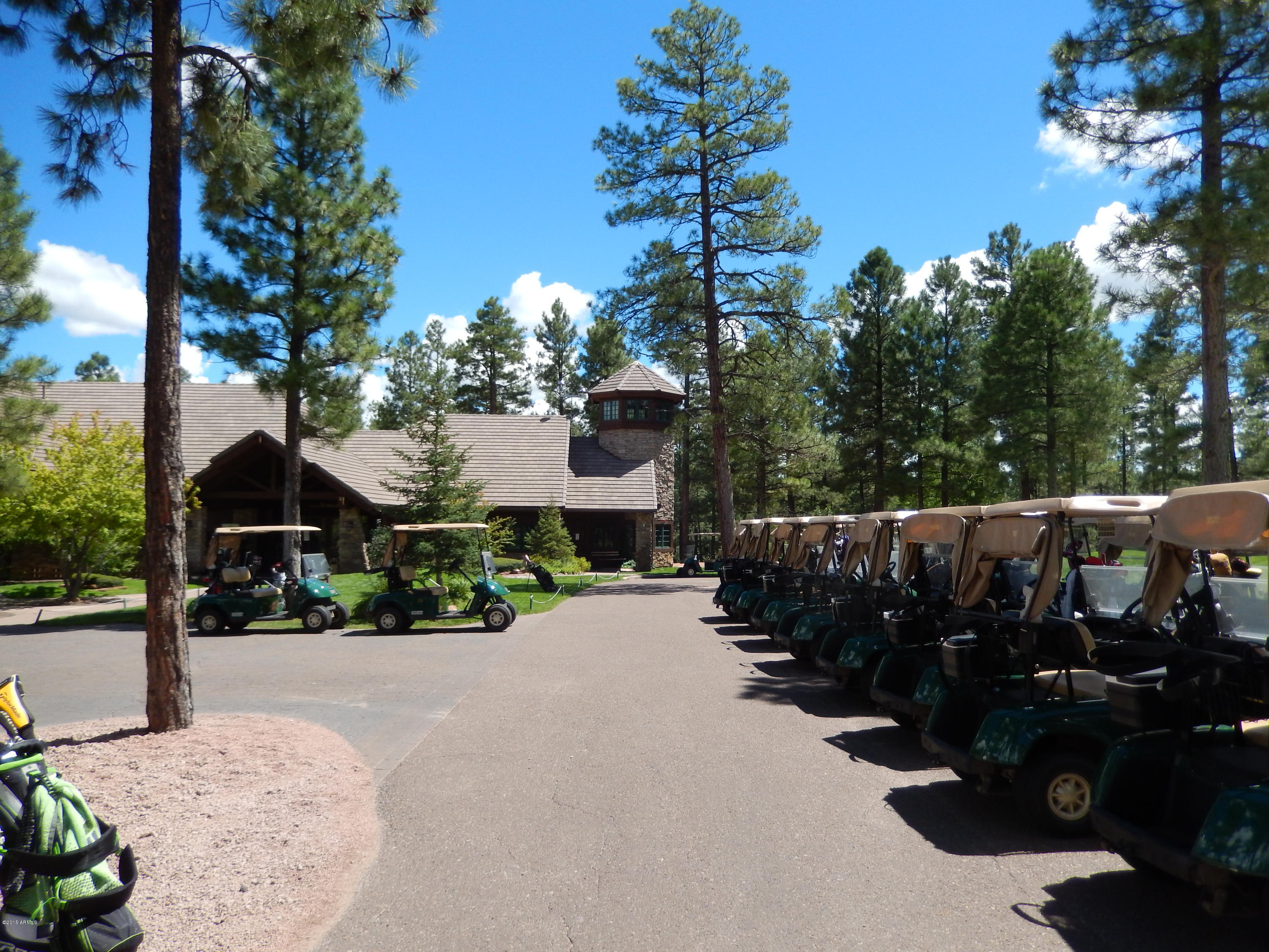 1680 South Falling Leaf Road, Unit 312 Show Low, AZ 85901 - Photo 20 of 35 GOLF CARTS READY FOR A BIG DAY