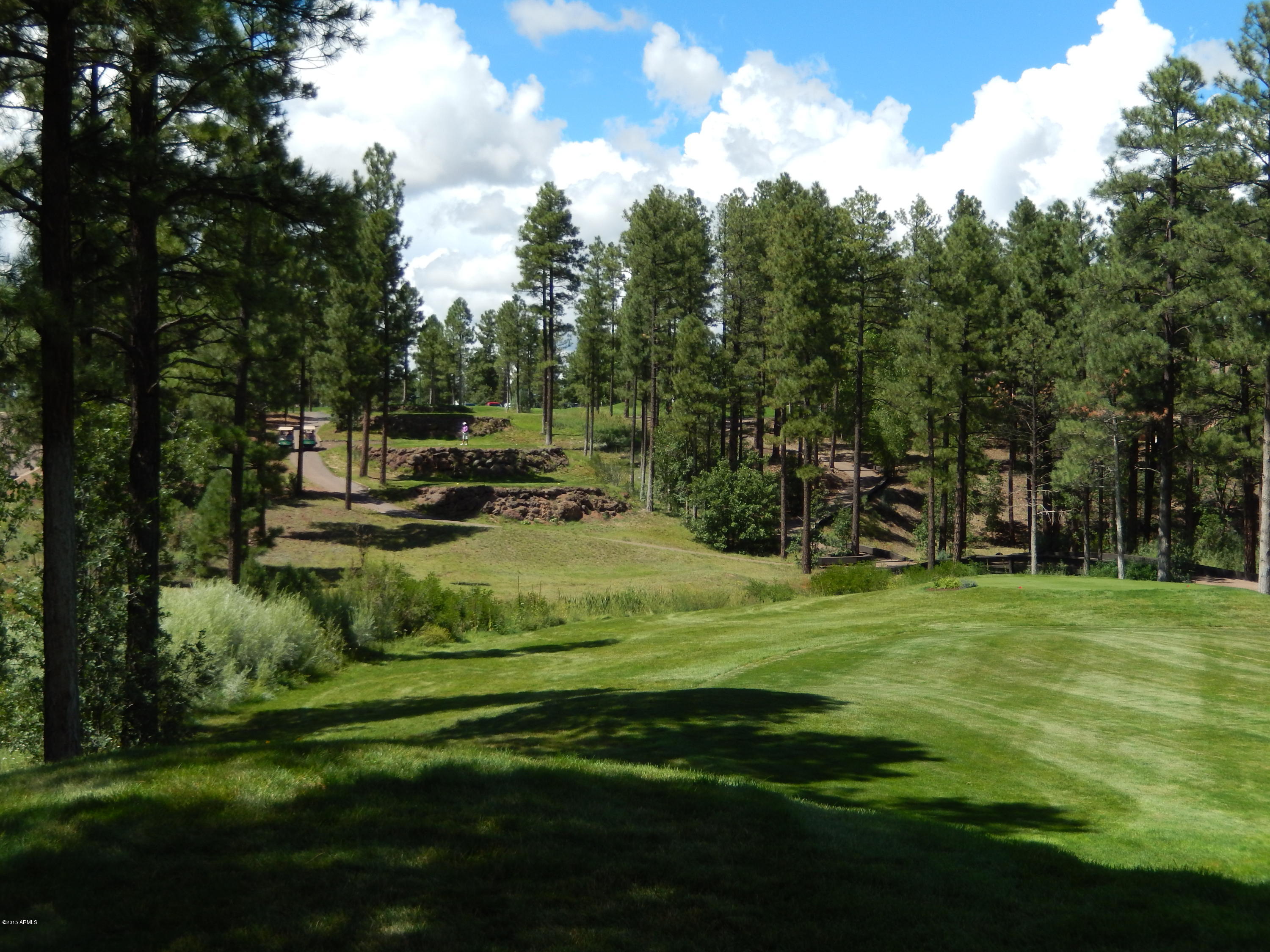 1680 South Falling Leaf Road, Unit 312 Show Low, AZ 85901 - Photo 23 of 35 UNBELIEVABLE COURSE