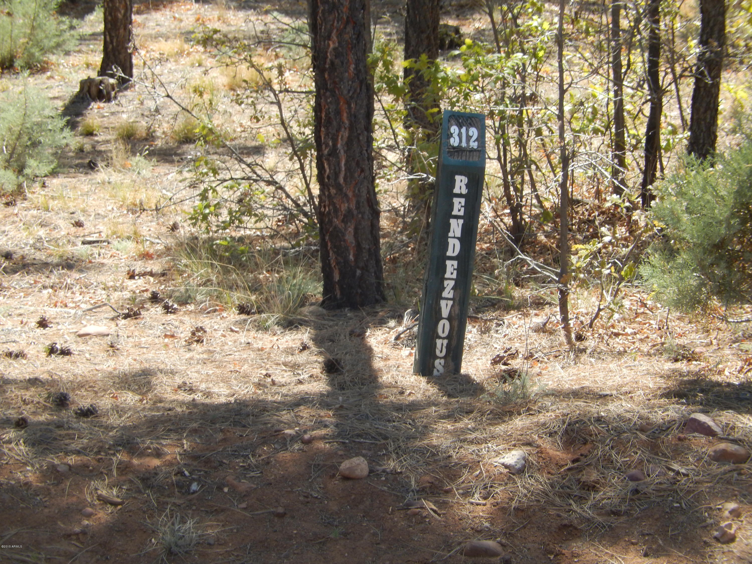 1680 South Falling Leaf Road, Unit 312 Show Low, AZ 85901 - Photo 3 of 35 Peter Reis lot 057