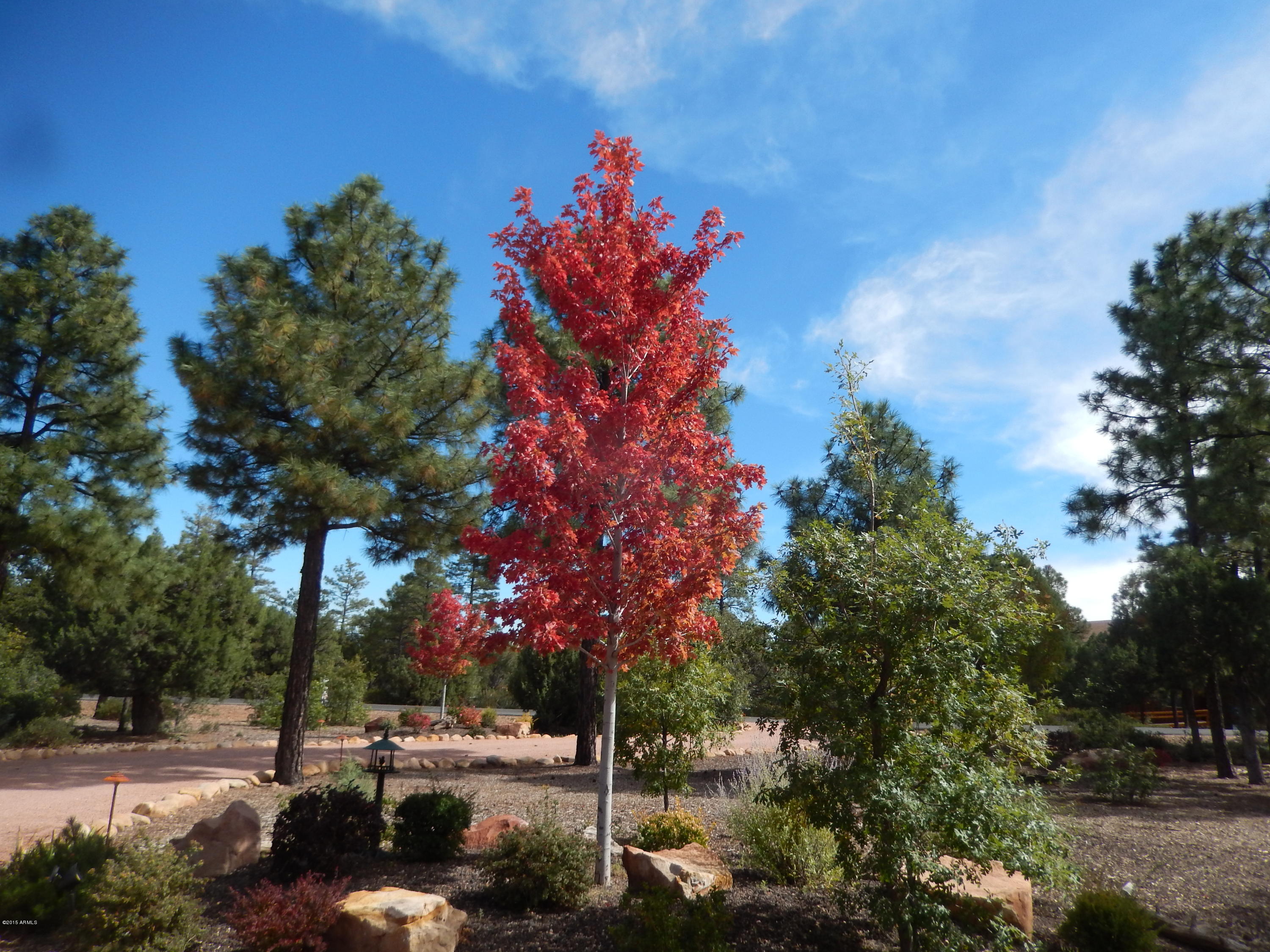 1680 South Falling Leaf Road, Unit 312 Show Low, AZ 85901 - Photo 34 of 35 Autumn in the White Mountains 001