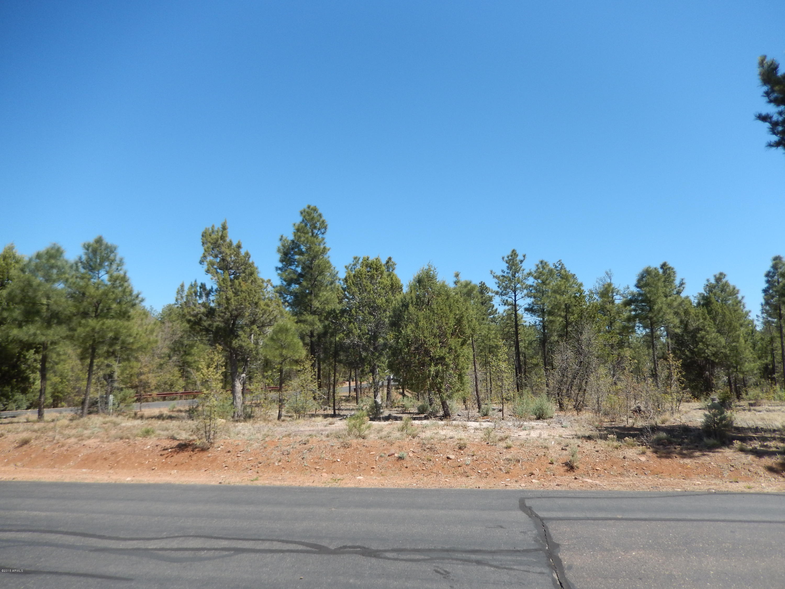 1680 South Falling Leaf Road, Unit 312 Show Low, AZ 85901 - Photo 4 of 35 Breathe the fresh Air