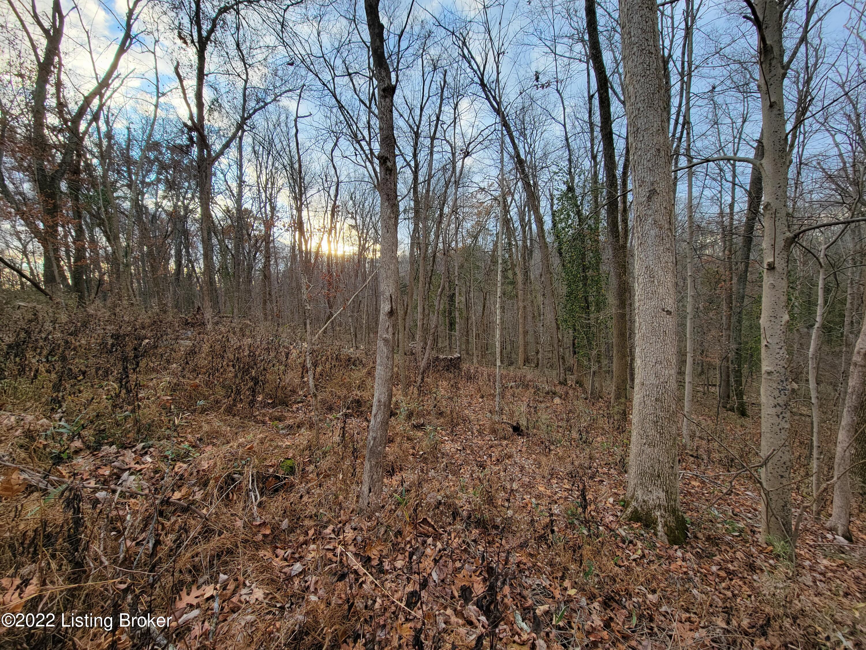 8010 Wolf Pen Branch Road Prospect, KY 40059 - Photo 25 of 34 20211127_164044