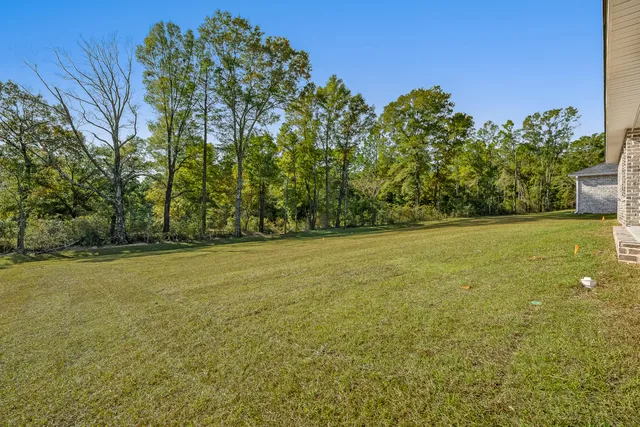 a view of a field with an ocean view
