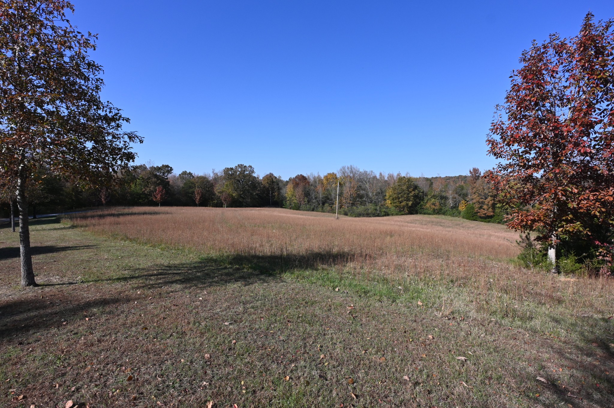 489 Doyle Road Linden, TN 37096 - Photo 3 of 70