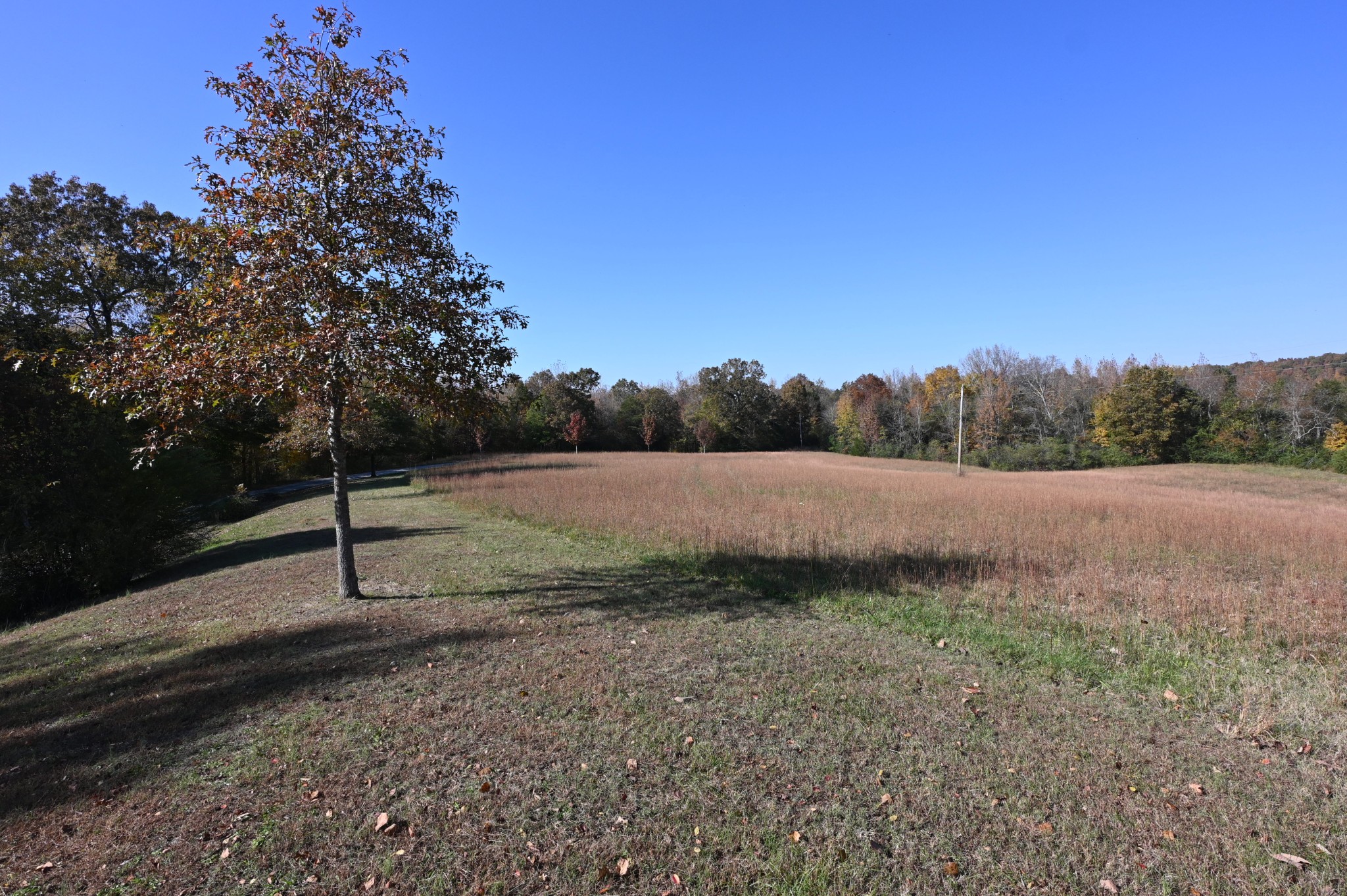 489 Doyle Road Linden, TN 37096 - Photo 36 of 70 a view of a park
