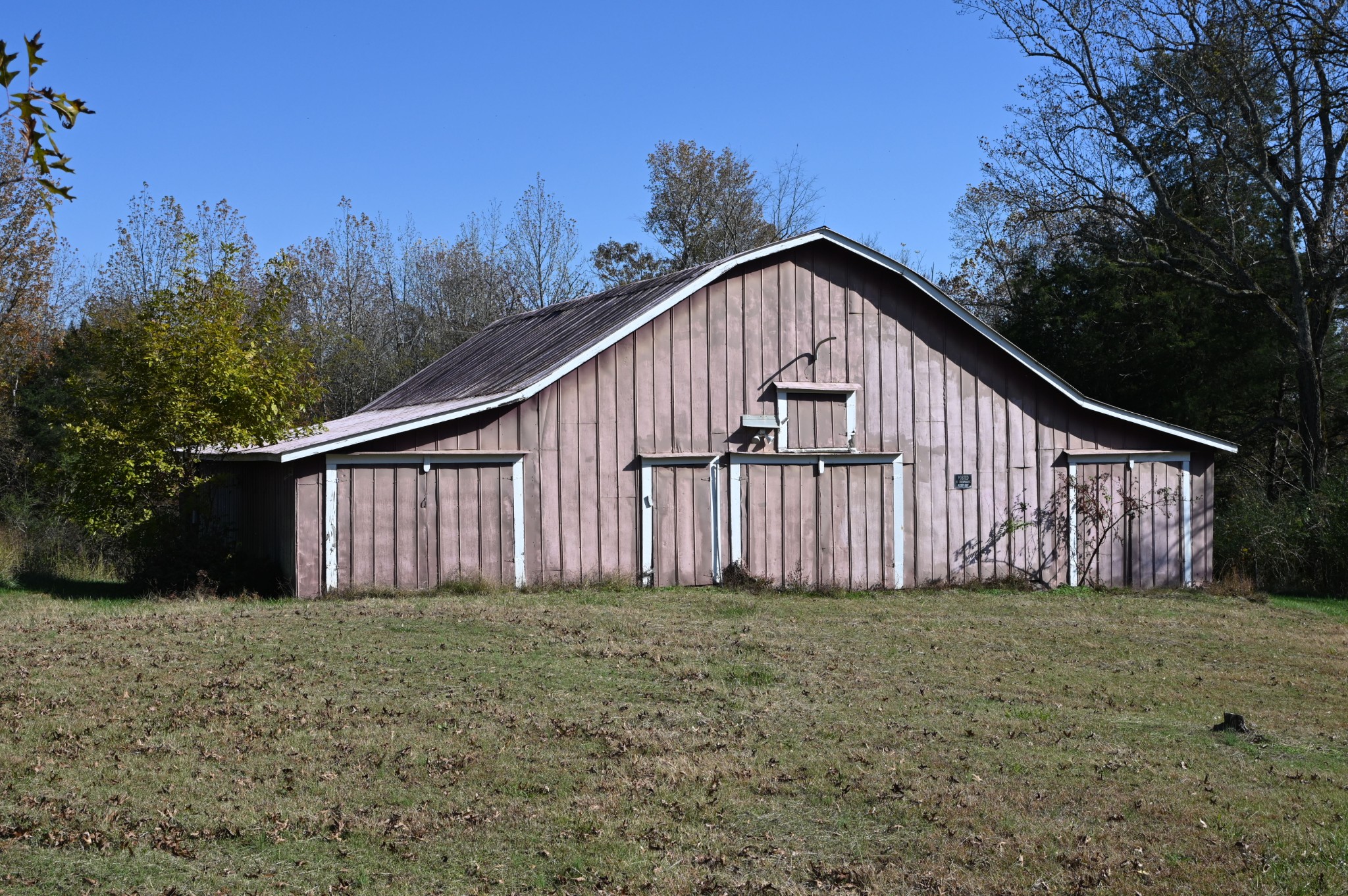 489 Doyle Road Linden, TN 37096 - Photo 37 of 70 a view of backyard with green space