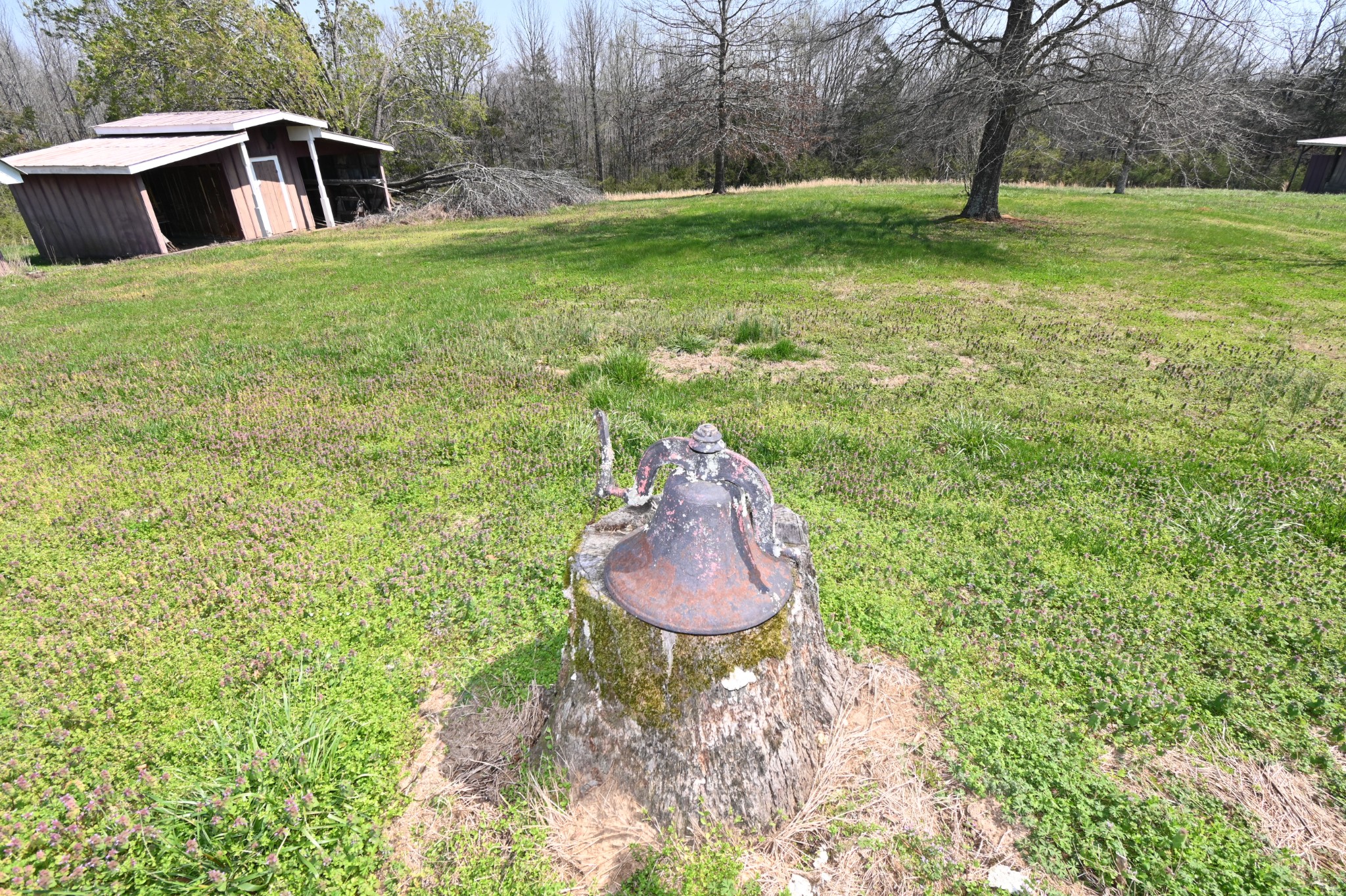 489 Doyle Road Linden, TN 37096 - Photo 52 of 70