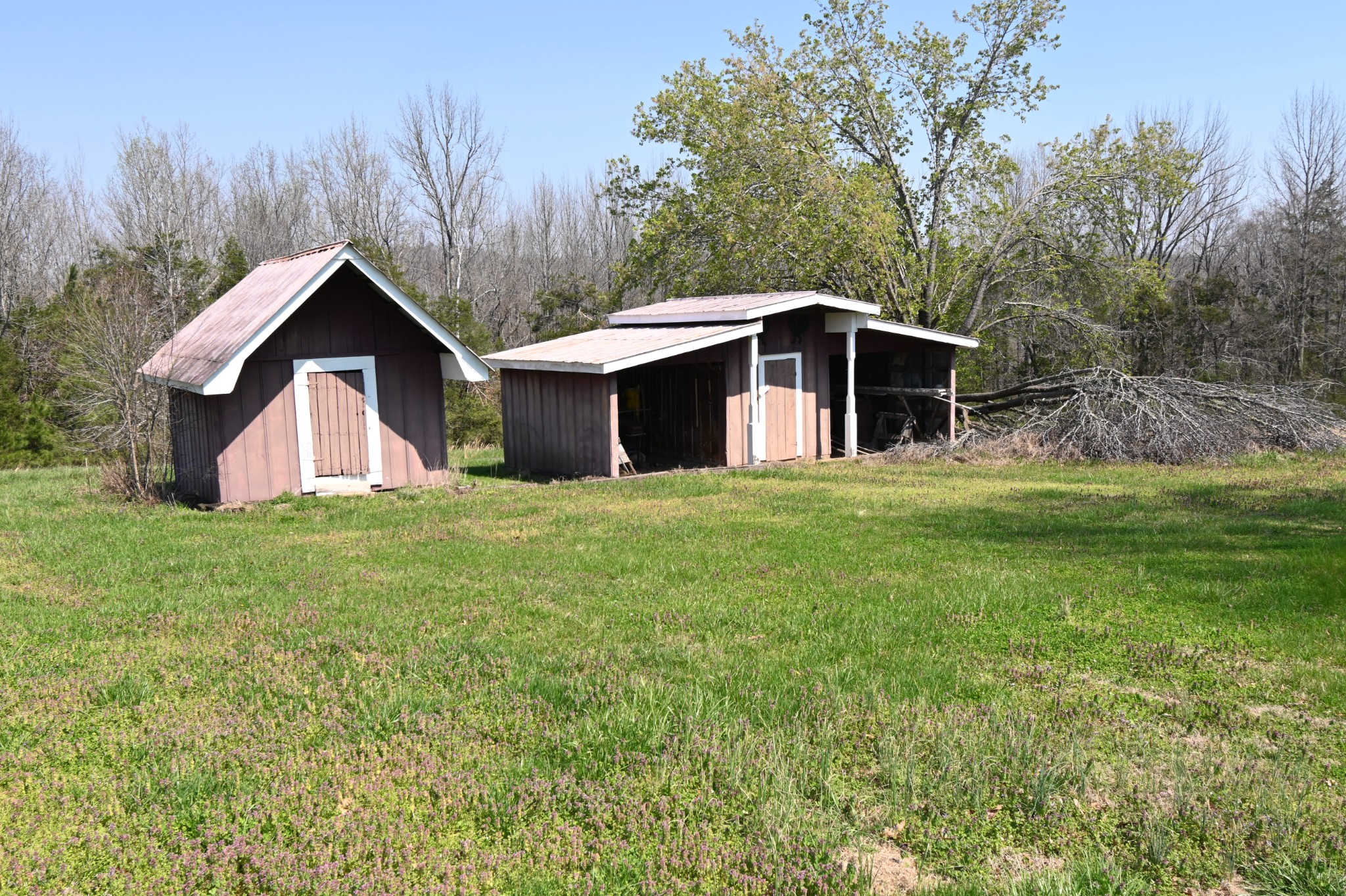 489 Doyle Road Linden, TN 37096 - Photo 64 of 70 a front view of a house with yard and green space
