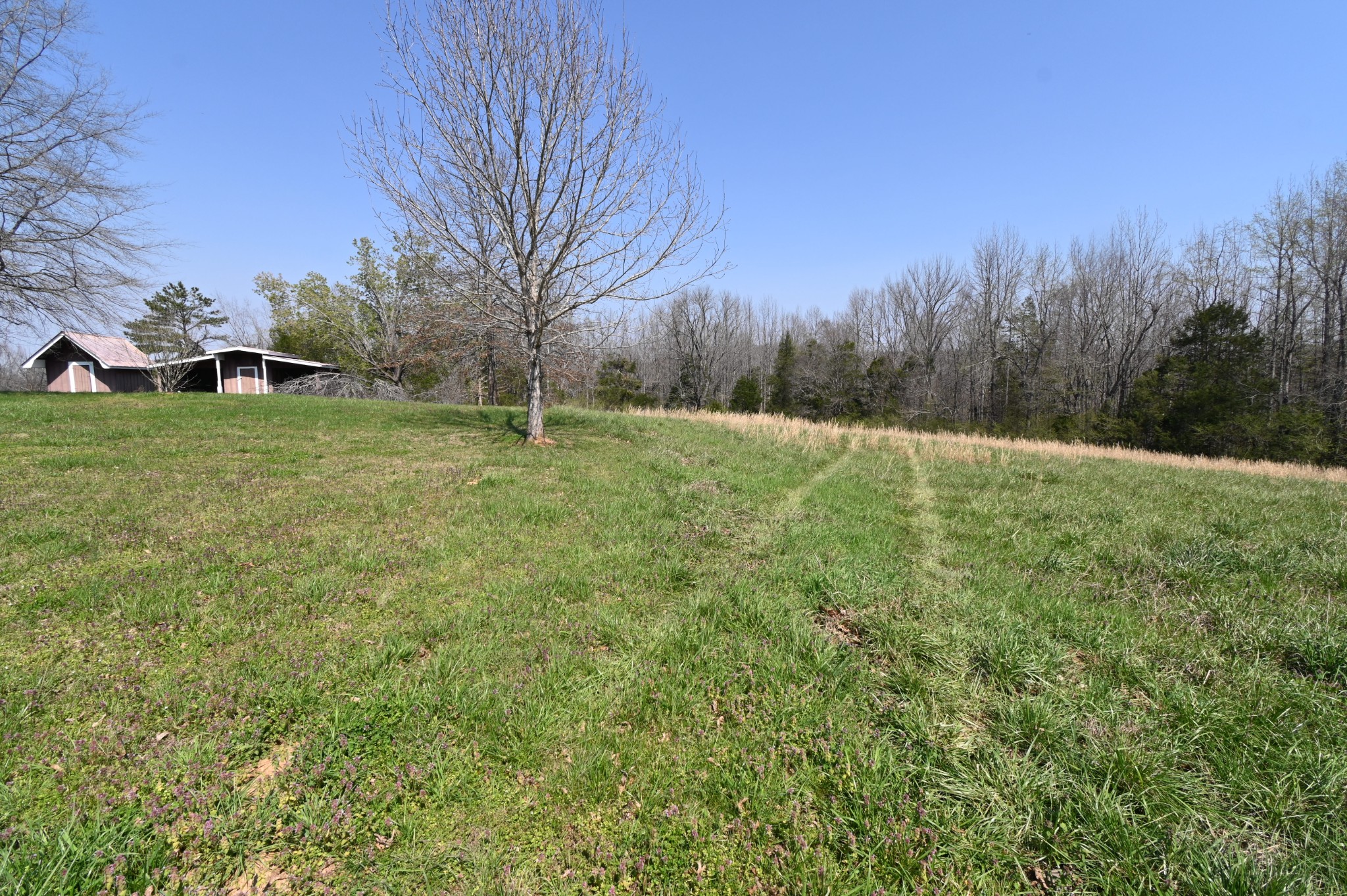 489 Doyle Road Linden, TN 37096 - Photo 65 of 70 a backyard of a house with lots of green space