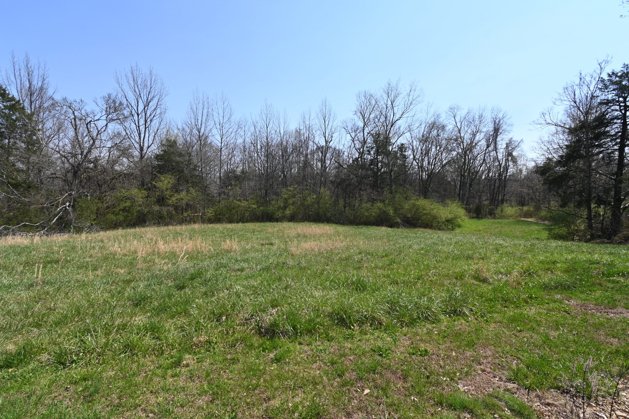 489 Doyle Road Linden, TN 37096 - Photo 66 of 70