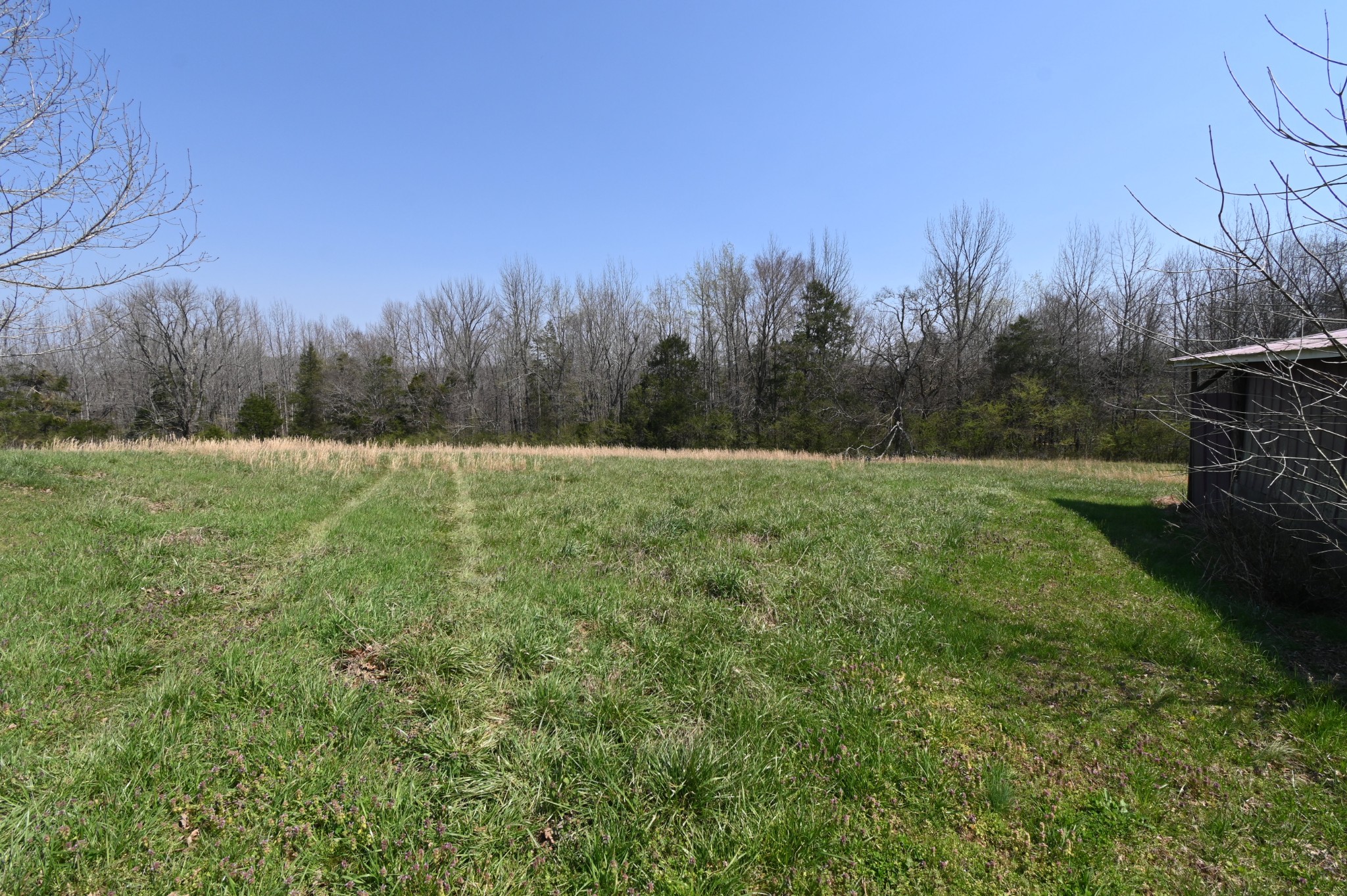 489 Doyle Road Linden, TN 37096 - Photo 67 of 70 a view of outdoor space with trees all around