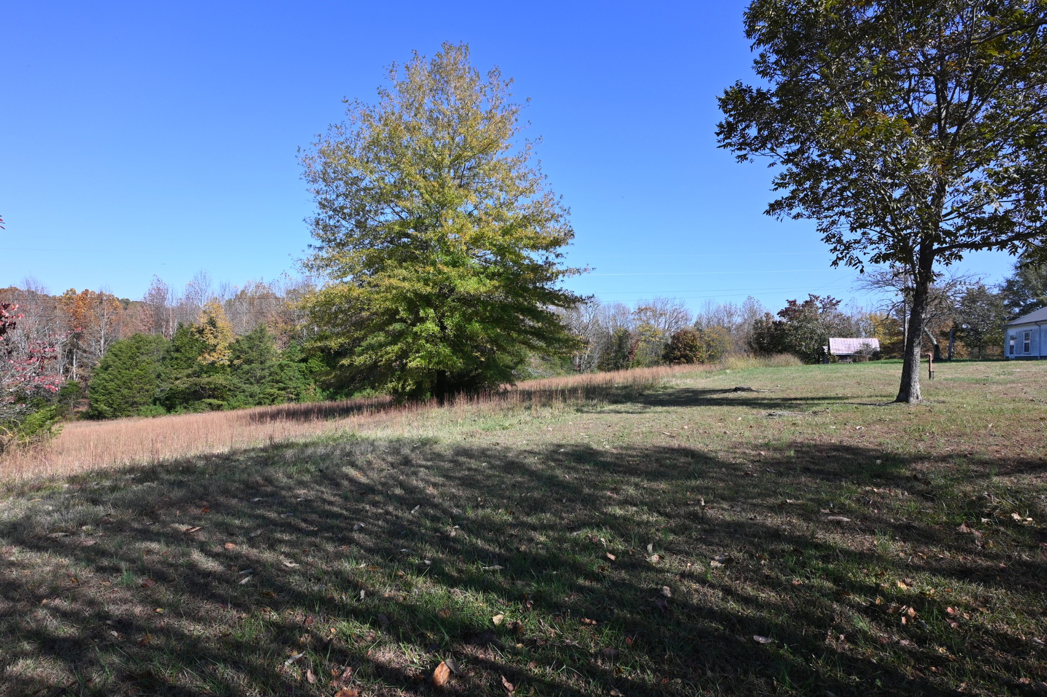 489 Doyle Road Linden, TN 37096 - Photo 68 of 70 a view of outdoor space with trees all around