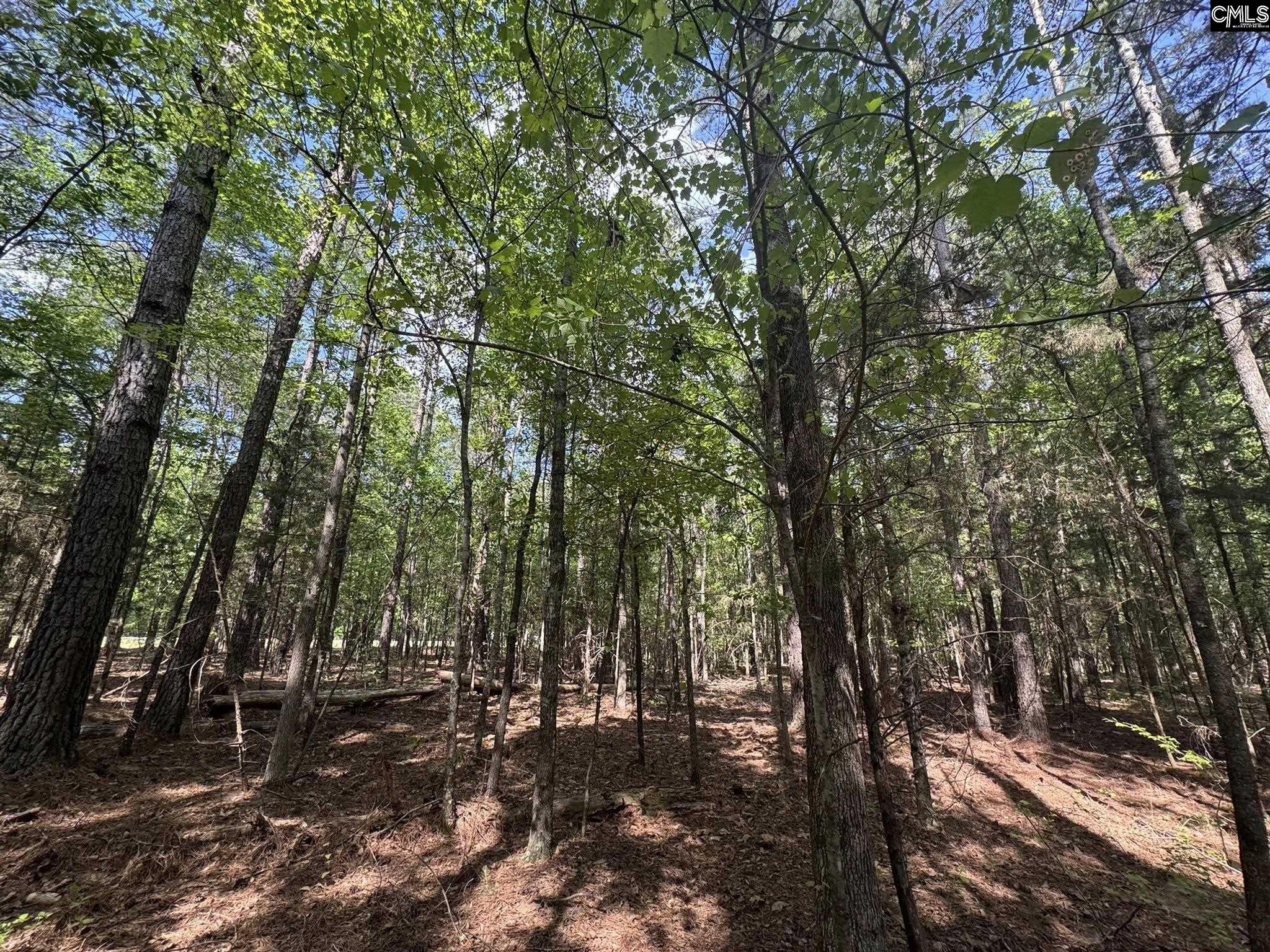 76 West W Highway Honea Path, SC 29654 - Photo 31 of 35