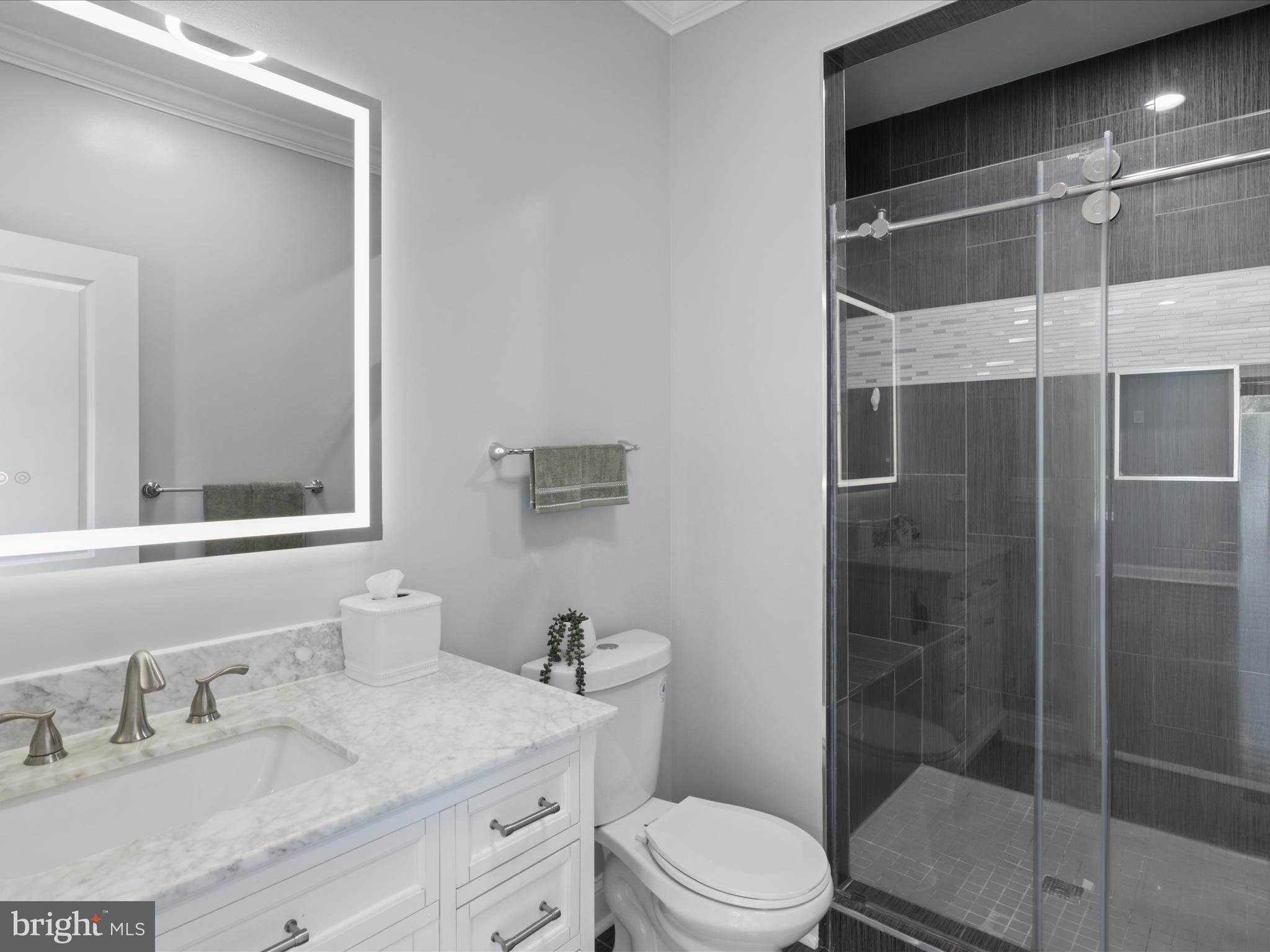8211 Hocking Place Alexandria, VA 22309 - Photo 34 of 45 a bathroom with a sink a toilet and shower