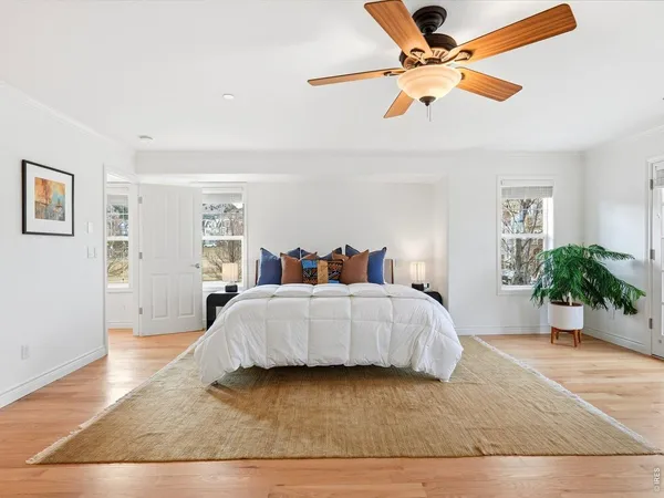a bedroom with a bed ceiling fan and a potted plant