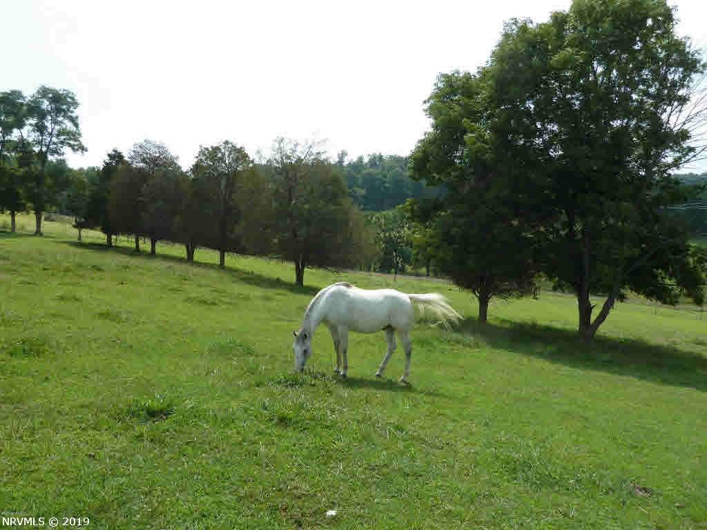 Lot 40 Hurston Road Pulaski, VA 24301 - Photo 18 of 29 Gallery Image 18