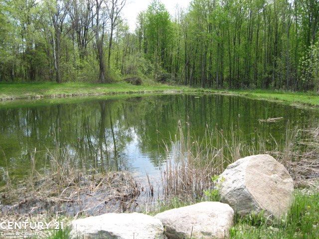6038 Bordman Road Romeo, MI 48065 - Photo 29 of 32