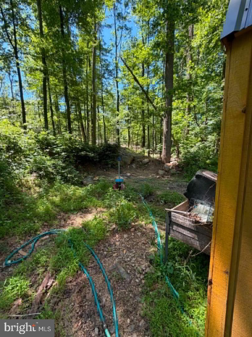 51 Cabin Road Augusta, WV 26704 - Photo 14 of 21 Gallery Image 14