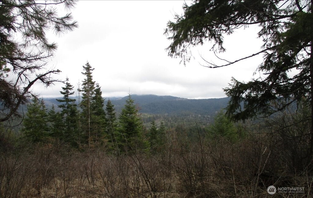 18-xxx East Miner Road Mead, WA 99021 - Photo 30 of 40 a view of mountain view with lots of bushes
