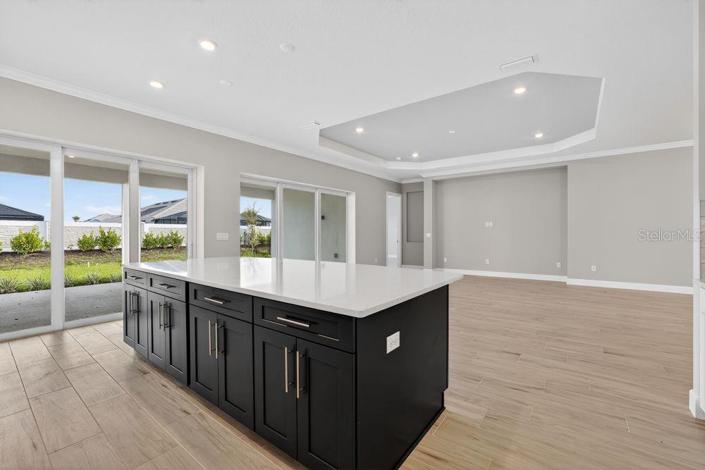 15246 Contenta Loop Bradenton, FL 34211 - Photo 4 of 64