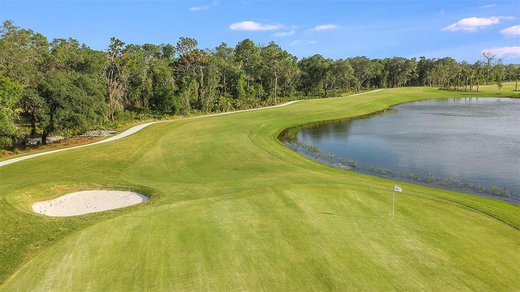 15246 Contenta Loop Bradenton, FL 34211 - Photo 63 of 64