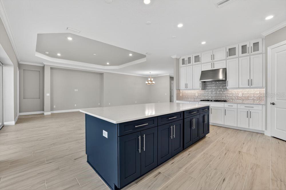 15246 Contenta Loop Bradenton, FL 34211 - Photo 7 of 64