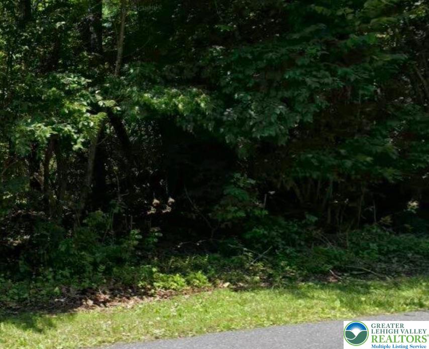 6822 Lime Kiln Road Slatington, PA 18080 - Photo 1 of 1 a view of outdoor space and covered with trees