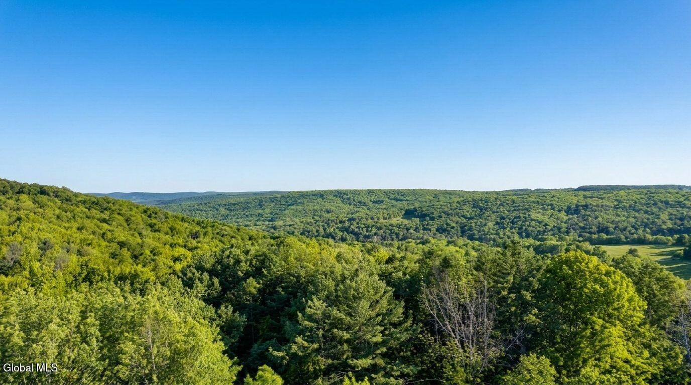 788 Teed Road Sidney Center, NY 13839 - Photo 70 of 73 788-teed-rd-walton-ny-drone-photo.jpg (1