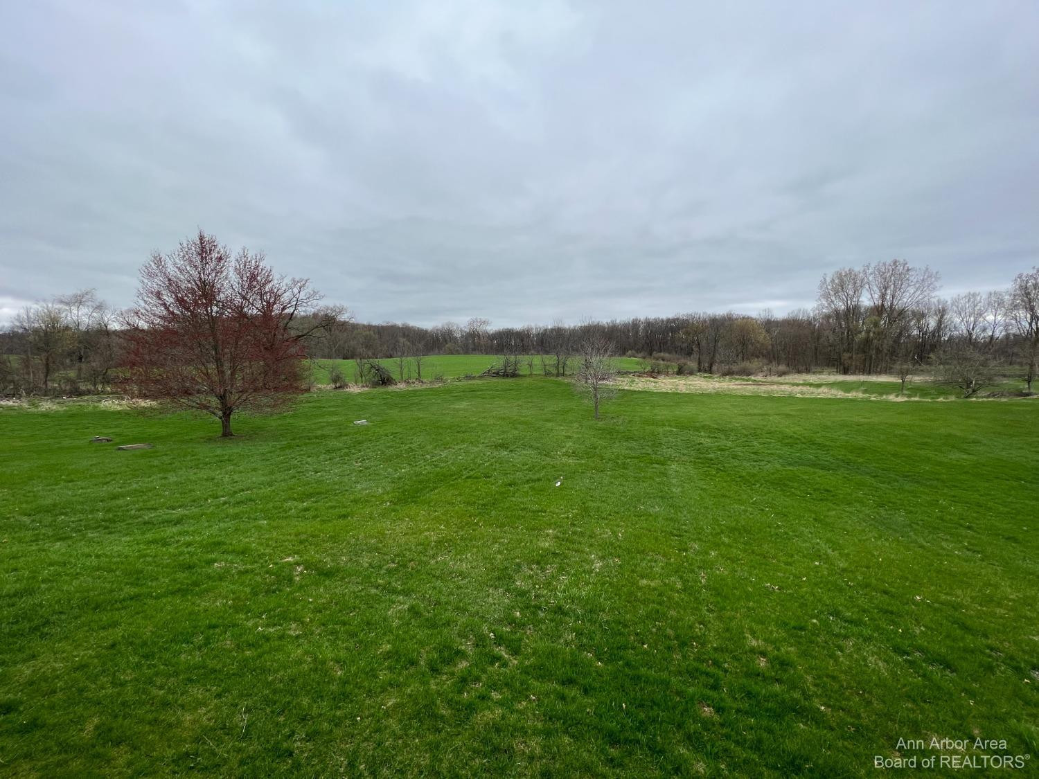 1540 Sylvan Road Chelsea, MI 48118 - Photo 20 of 63 Photo 20