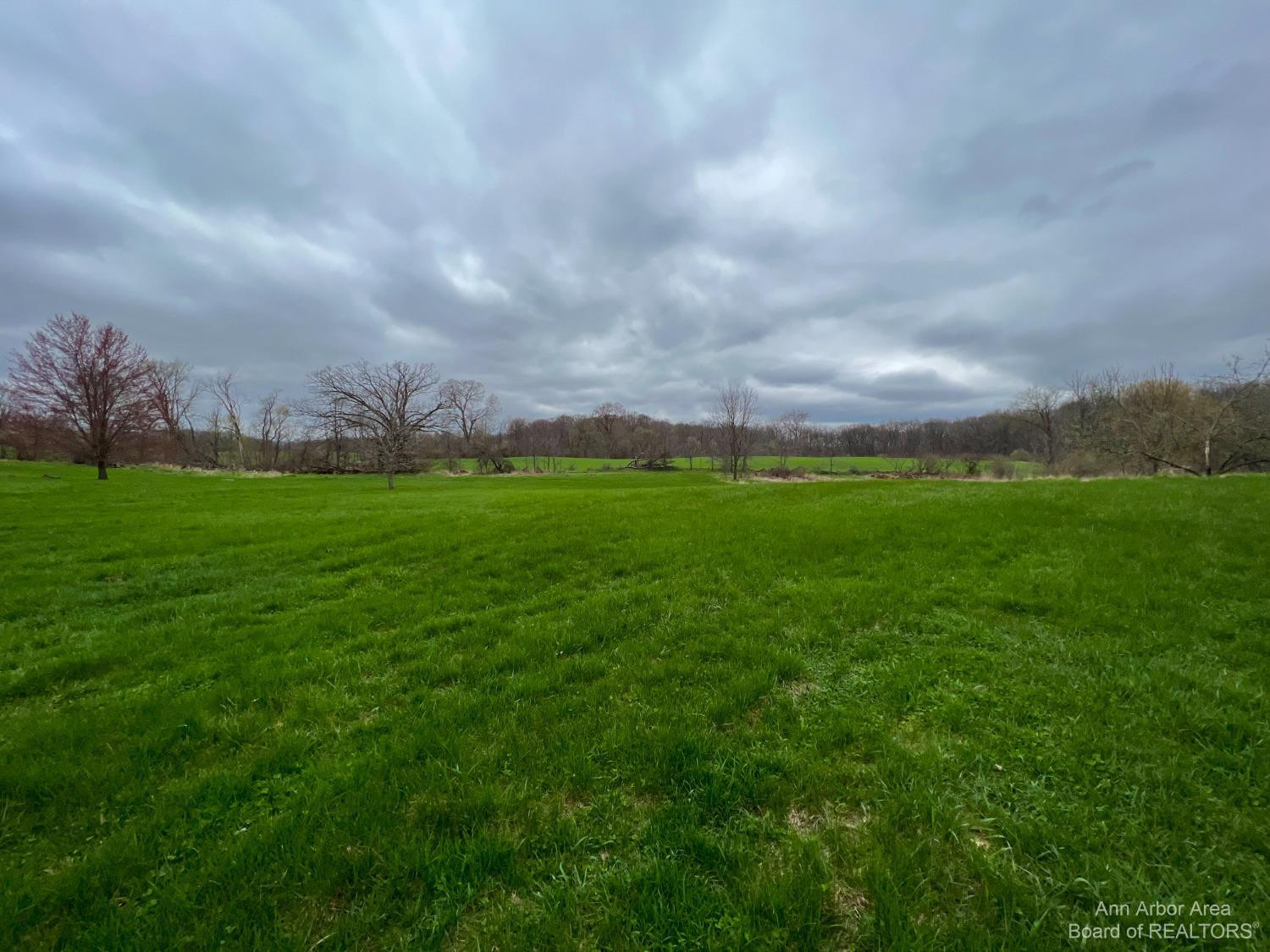 1540 Sylvan Road Chelsea, MI 48118 - Photo 60 of 63 Photo 60