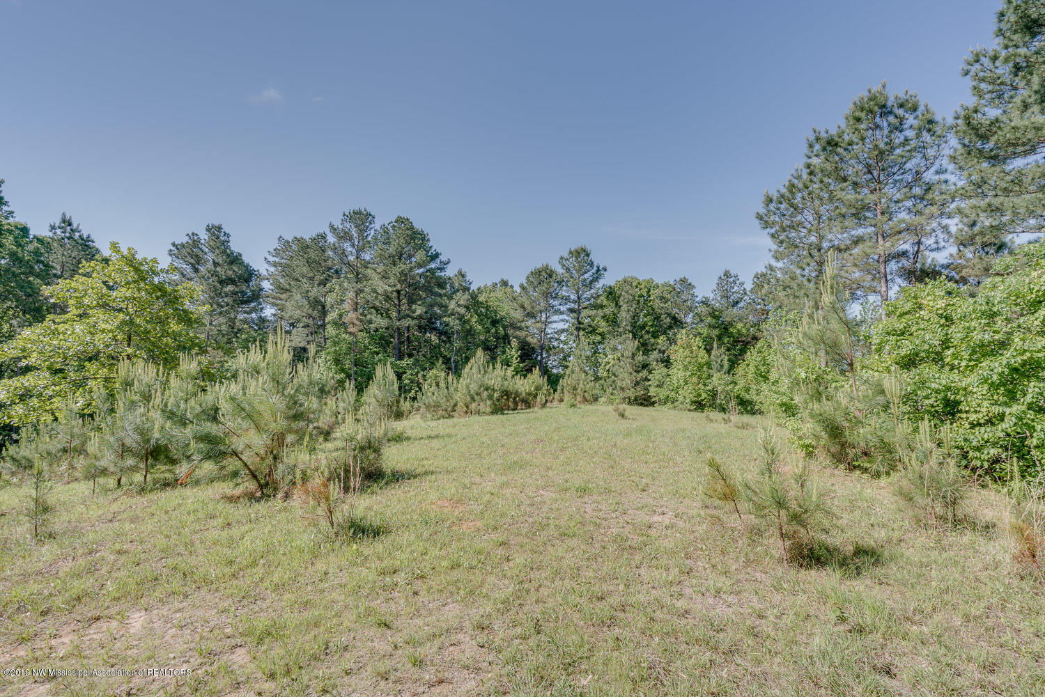 46 River Rhodes Road Holly Springs, MS 38635 - Photo 23 of 25 46-River-Rhodes-snapsold-screen-191624-2