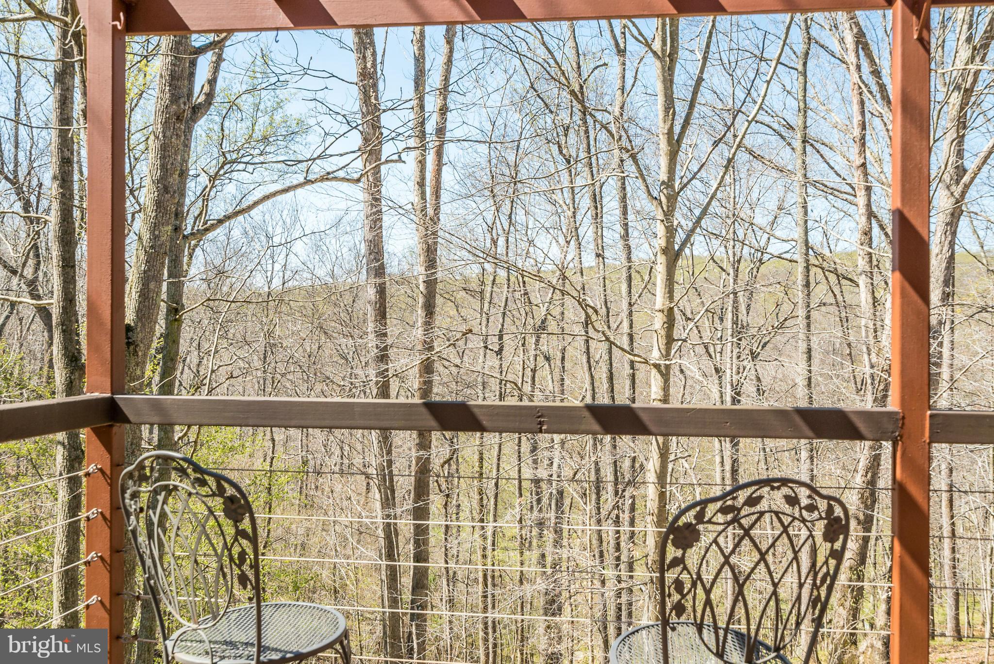 6168 Carters Run Road Marshall, VA 20115 - Photo 22 of 30 Exterior (General)