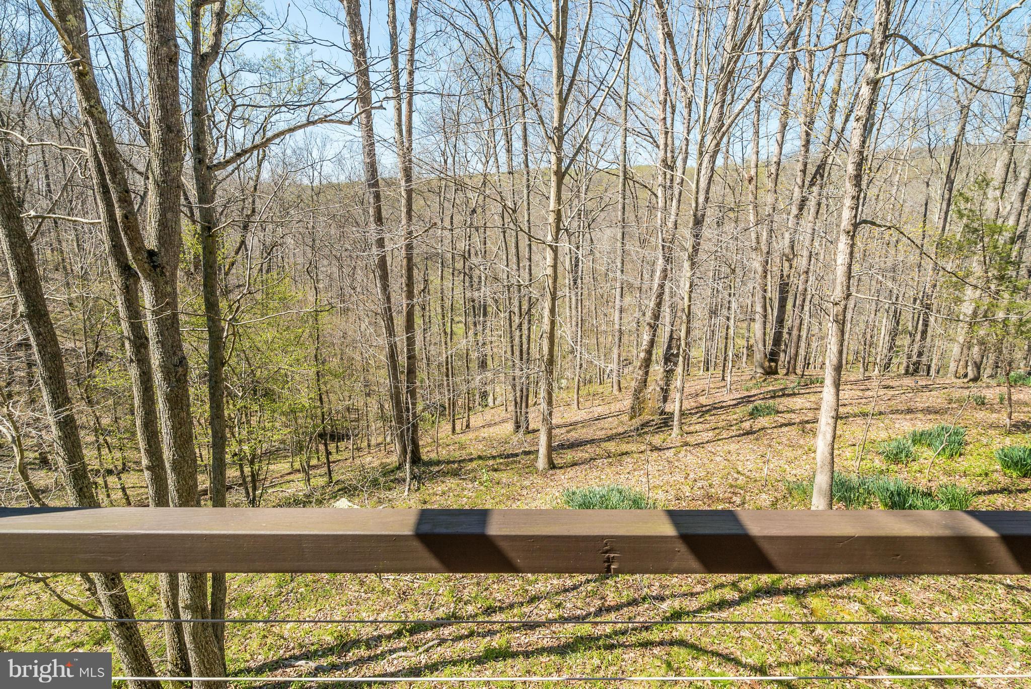 6168 Carters Run Road Marshall, VA 20115 - Photo 26 of 30 View