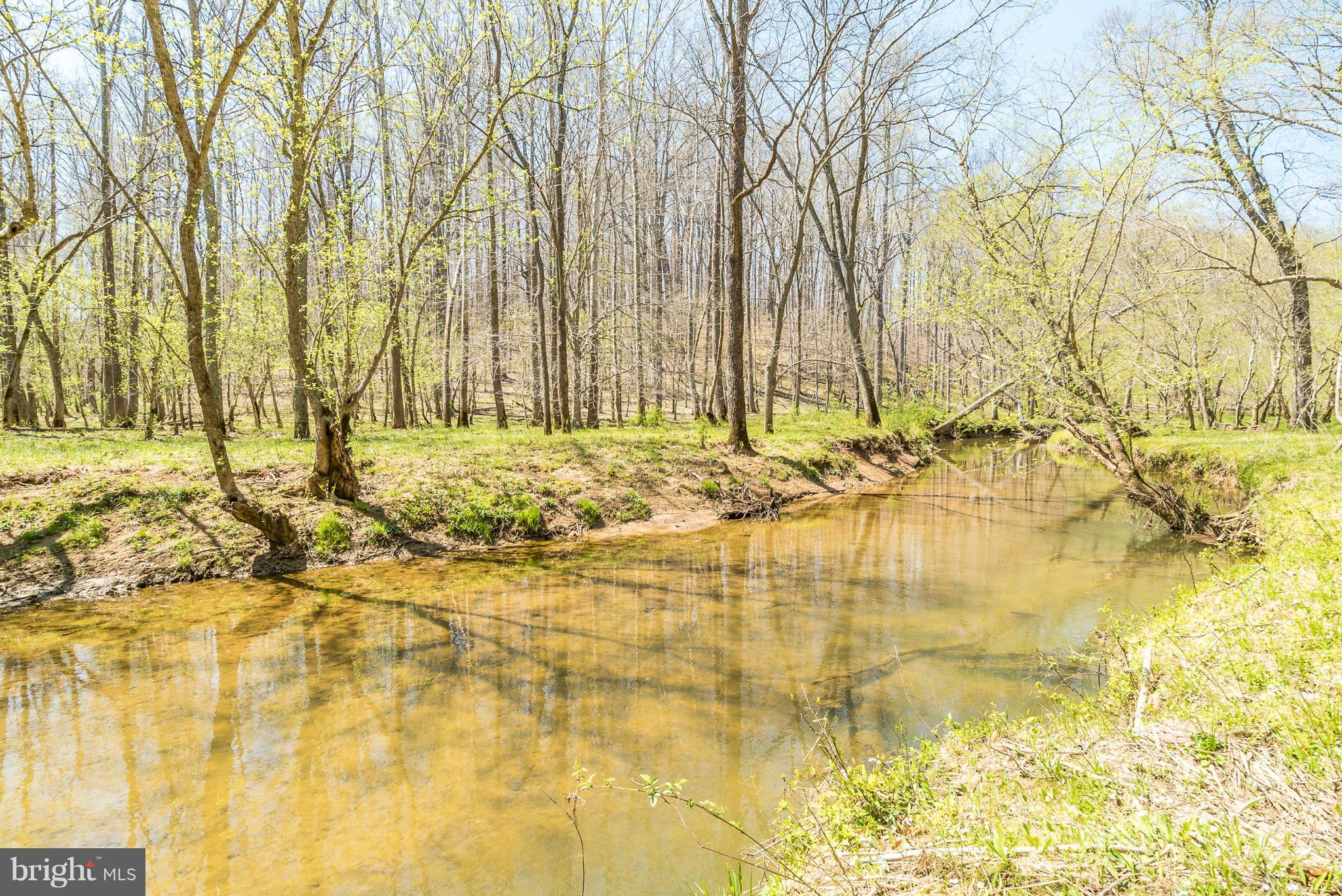 6168 Carters Run Road Marshall, VA 20115 - Photo 28 of 30 View