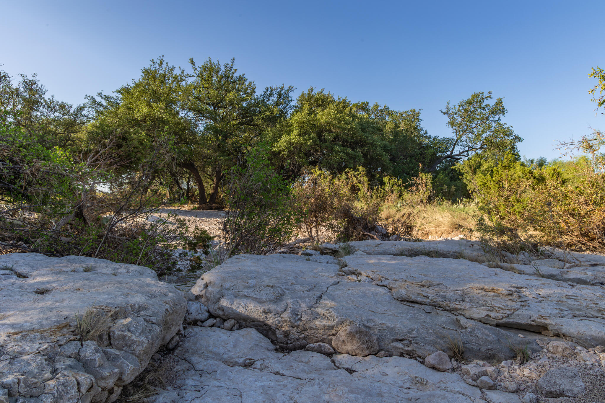Tbd Tbd Redbud Road Ozona, TX 76943 - Photo 12 of 36 Grube-15