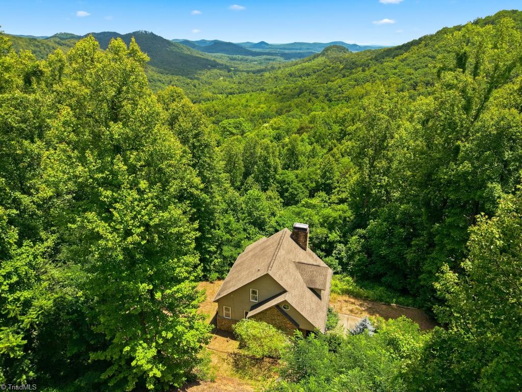 255 Treadway Ridge Road Moravian Falls, NC 28654 - Photo 2 of 50