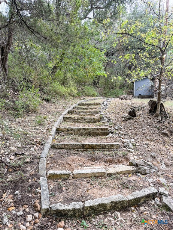 9751 River Road New Braunfels, TX 78132 - Photo 11 of 12 a view of a yard with large trees