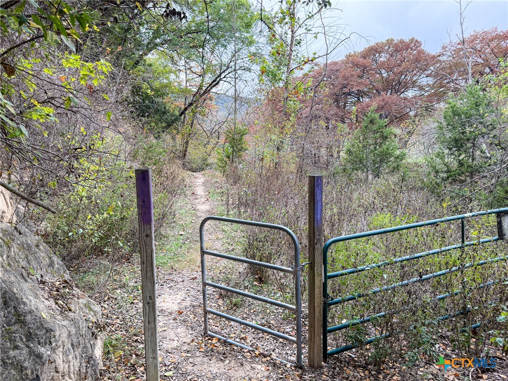 9751 River Road New Braunfels, TX 78132 - Photo 7 of 12 a view of a wooden bridge