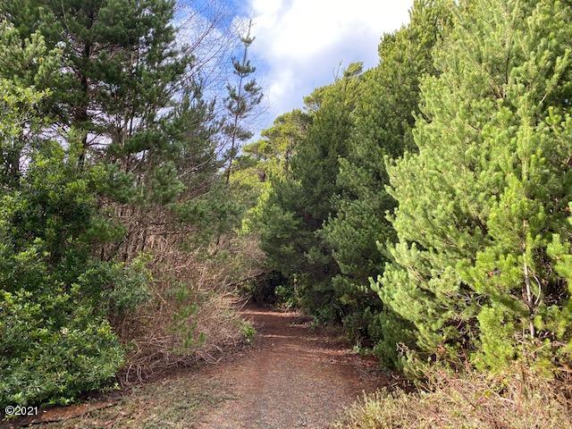 3100 Southwest Sitka Ridge Waldport, OR 97394 - Photo 1 of 6 NW Property line